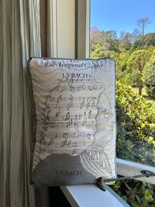 Cushions: Bach Cushion in Silk