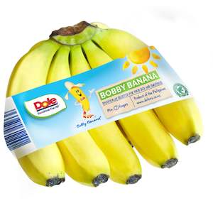 Bananas: Banana Bobby Philippine Bunch