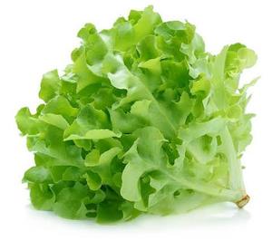 Fancy Lettuce Green Oak NZ X2