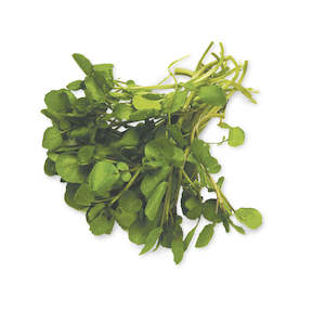 Vegetables: Watercress bunch Each