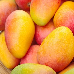 Mangoes Peruvian x2
