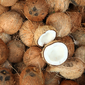Tropicals: Coconuts Tonga each*