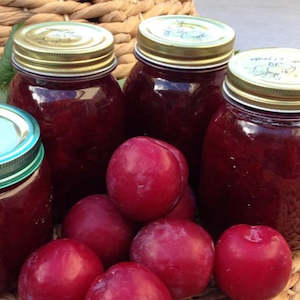 Fruits: Plums Angelino 700gm Bag NZ