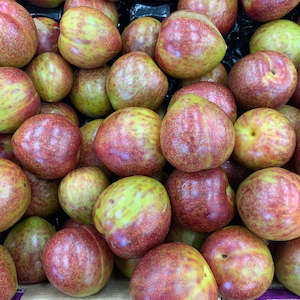 Plums Omega Loose NZ*