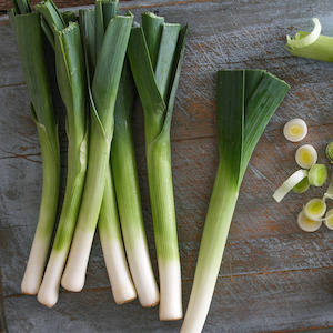 Onions Leeks: Leeks NZ
