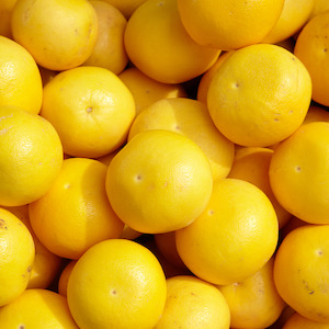 Grapefruit Australian