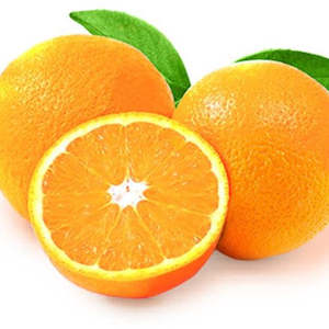 Citrus: Oranges Navel Bag of 5 Australian