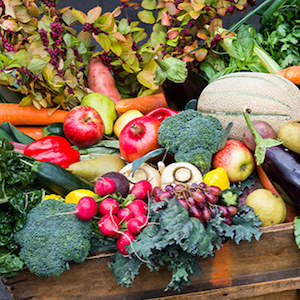 Big Vege Popular Hero's Pack