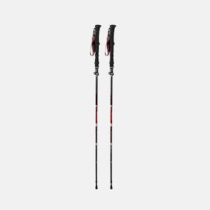 Trekking Poles: Raidlight Hydrid Carbon Poles