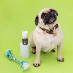 Products: Raw Nature Dog Skin Paw Balm Full Circle Eco