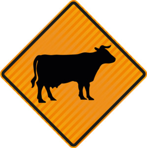 Products: Stock Temporary Cattle - Level 1