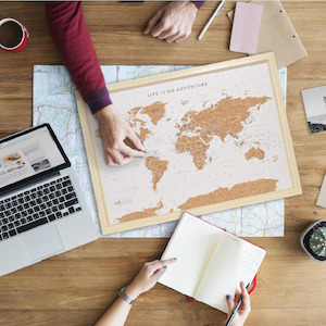 Travel Maps: World Travel Map Pin Board - Medium