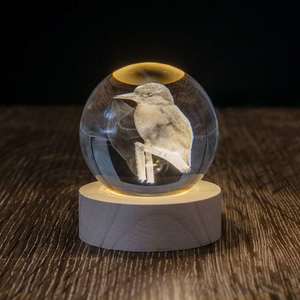 Gifts For Teachers: LED Globe - Kingfisher