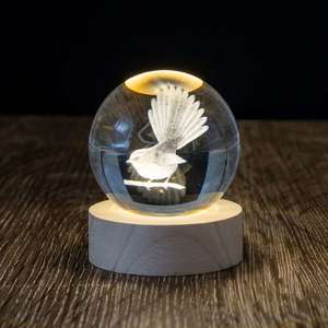 Gifts For Teachers: LED Globe - Fantail