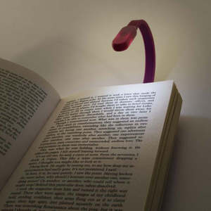 Summer Fun: Flexi Clip On Rechargeable Book Light