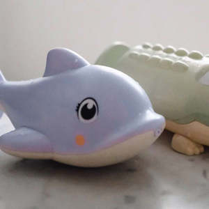Outdoor Games For Summer: SunnyLife Water Squirter Dolphin