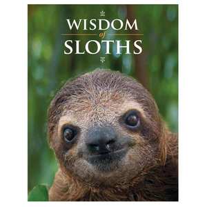 Gifts For Teachers: Wisdom of Sloths