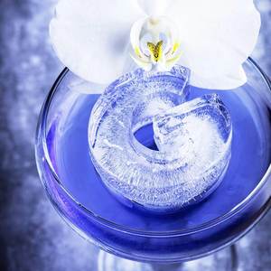 Ice Cube Tray - G For Gin Lovers