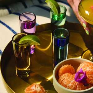 The Gracie Set Of 4 Shot Glasses