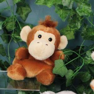 Palm Pals - Boomer Monkey