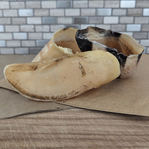Products: FurFrienz: Natural Beef Hoove - Long Lasting Dog Treat