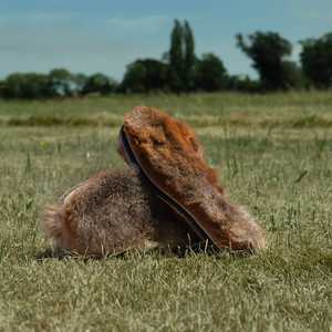 New Zealand Made: Possum Shoe & Boot Inner Sole