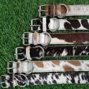 Pets: Cowhide Dog Collar