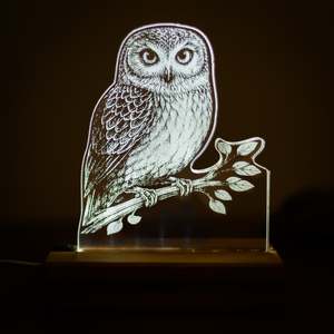 Lighting: Morepork Acrylic LED Light