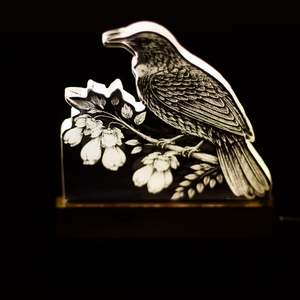 Tūī Acrylic LED Light