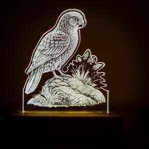 Kea Acrylic LED Light