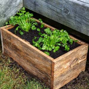 Gifts Homeware: furnACE Rustic Raised Garden Bed – Untreated Pine | 700mm