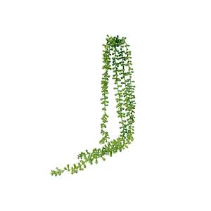Faux Plants: String Of Beads Succulent Green - 73cm