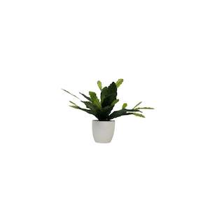 Faux Plants: Epiphyllum Plant With White Pot 38cm