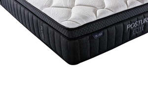 Posture Elite Plush Mattress