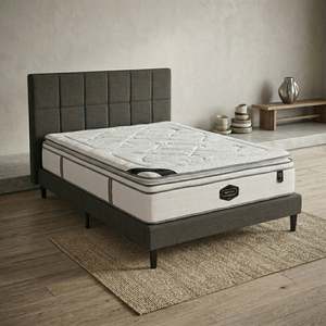 Bed Frames With Mattresses: Arizona with Dream Plush Queen Deal