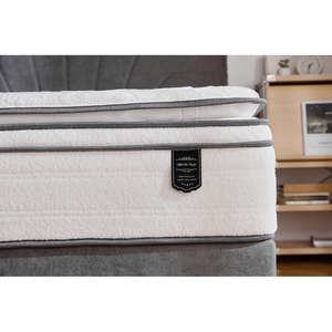 Mattresses: Dream Plush Mattress-Queen