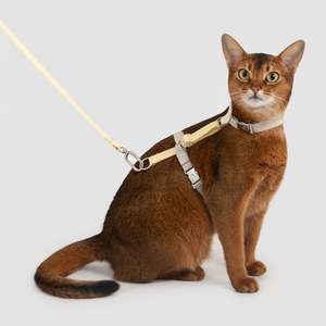 Two-Tone Leather Cat Harness & Leash Set [🍋 Fruit Stem Yellow]