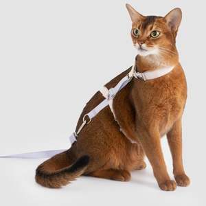 Two-Tone Leather Cat Harness & Leash Set [🍇Berry Jam Purple]