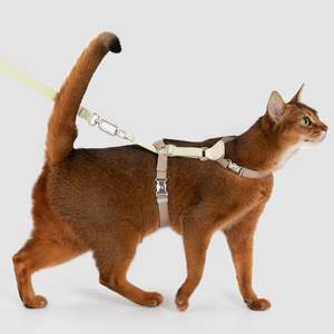 Two-Tone Leather Cat Harness & Leash Set [🌿Moss Brown-Green]