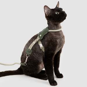 Leather Round Rope Cat Harness & Leash Set [Olive Green]