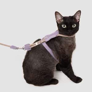 Leather Round Rope Cat Harness & Leash Set [Hibiscus Purple]