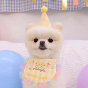 Best Sellers: 💛Happy Birthday Bib & Hat Set [Yellow]