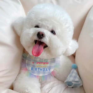 Best Sellers: 🩵Happy Birthday Bib & Hat Set [Blue]