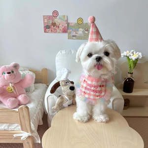 Best Sellers: 🩷Happy Birthday Bib & Hat Set [Pink]