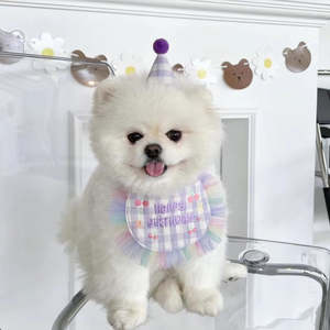 💜Happy Birthday Bib & Hat Set [Purple]