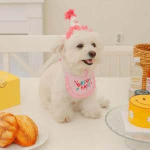 Best Sellers: 🩷Birthday Baby Bib for Pets [Pink]