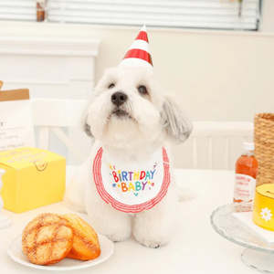 Best Sellers: ❤️Birthday Baby Bib for Pets [Red]