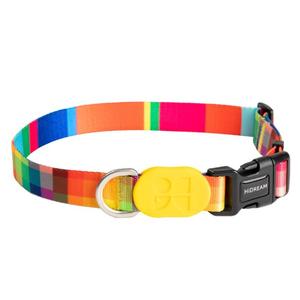 Dog Collars: Colorful Series Dog Collar [Braggler]