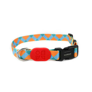 Dog Collars: Colorful Series Dog Collar [Sunrise]