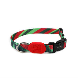 Dog Collars: Colorful Series Dog Collar [Watermelon]